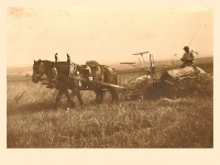 Photos from Ivan Štěpka's collection about the history of Točná (shots from the fields around Točná)