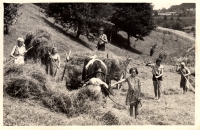 Farming in Růžďka / 1950s