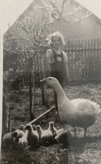 At her grandparents' in the countryside