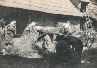 Women threshing grain, Eibenthal, 1937