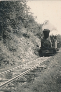 The tracks to Eibenthal, which transported asbestos and coal to the Danube. Operation on the railway line was discontinued in 1969 and the steam locomotive was replaced by freight wagons