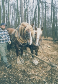 Antonín Konečný at work in the forest