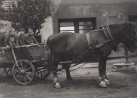 The Konecny siblings on a horse-drawn carriage