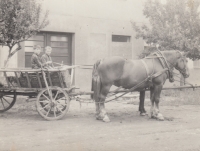 Antonín Konečný with a friend on a horse-drawn carriage