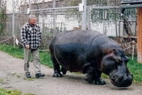 Ivan Ringel s hrochem Davídkem v Ringellandu přibližně v roce 2010