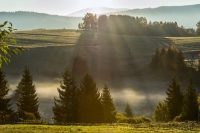 Fotografie ze série Šumavská odysea