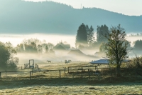 Fotografie ze série Šumavská odysea