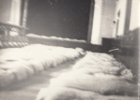 German soldiers sleeping in the Sokol Hall in Jaroměř on their way to the eastern front, secretly photographed by the witness´s father, the janitor of the Sokol Hall