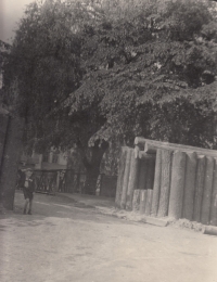 František Brouk at the barricade in Jaroměř in May 1945