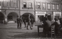 Conscription of horses for the German army on the square in Jaroměř on 6 October 1943