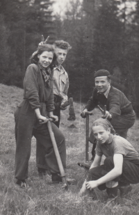 Sázení stromků v lese, brigáda u Liberce; 1951