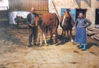 In the yard of the Řehák family (No. 171), Gerník, 1990s