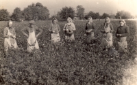 Deported from the village of Ezeru (Cacomeanca Nouă) to work for state farms. In the middle stands the witness and next to her Tina Sorescu, daughter of a deported Baptist preacher from Síkovice, 1955