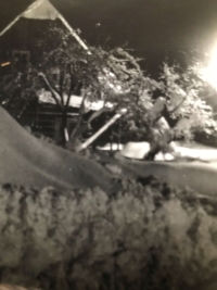 Snow-covered house U sedmi štítů (At the seven peaks), ca. 1969