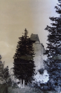 Kašperk around 1964, the trees in the outer courtyard, which the witness's father liked