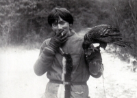 Lubomír Peške jako sokolník se svým jestřábem jménem Macheta / 1965