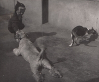 Lubomír Schimmer as a little boy with a dog and a cat in front of his grandfather's pub in Holešovice