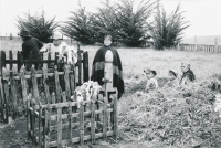 Grave cleaning (Chile), the older the grave, the more it is valued (1969-1973)