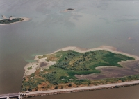 Nové Mlýny, reduced water level