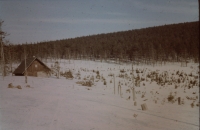 Air pollutant-damaged forests above Harrachov near Alfrédka cottage in the late 1970s