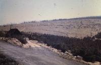 Bare areas after harvesting dead spruce trees above Harrachov near Alfrédek's cottage, early 1980s