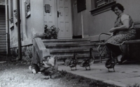 Wife feeding the ducks outside their house, which flew to the next river, 1990s