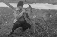 Václav Myslivec in 1964 with a roe deer near his family homestead in Cimbál near Semily