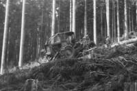 Těžba na krkonošském polesí Rezek, rok 1978