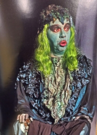 Serguei Nikitine as the water goblin in Rusalka, North Bohemian Theatre in Ústí nad Labem