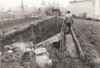 Family gardening in Police nad Metují, state after 1989