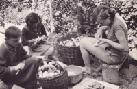 Siblings mushrooms picking