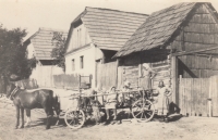 Farmers in Rovensko, undated