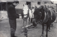 Na dvoře rodiny Špiclových na Rovensku, 80. léta