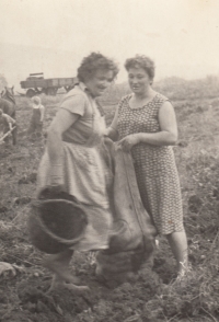 Matka pamětnice (vpravo) pracovala od roku 1957 ve valečském JZD 