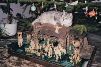 The Christmas crib, which remained in Kraslice after the Sudeten Germans, was in the care of Jan and Miroslava Vosáhlo in 2024