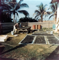 Drying of concentrate and hand picking of sapphires, Laos, 1985