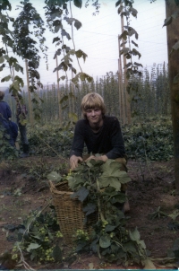 Miroslav Svoboda na chmelové brigádě v roce 1978