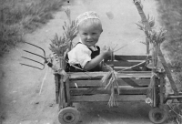 Karel Rožec as a child, harvest festival in Travčice in 1945