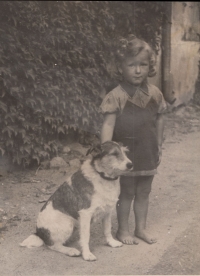 Ludmila Cibulková jako malé děvče s pejskem u tety v Nekmíři, 1945