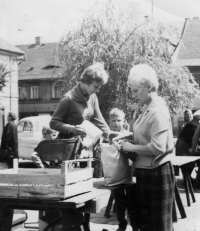 Witness sells at the market in II. square in 1965