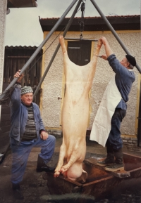 František Chlistovsky during a pig killing, 1990s