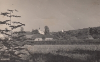 Kosino, Subcarpathian Russia, birthplace of the mother of the witness (today's Ukraine), 1938