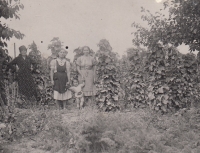 Grandmother with her helpers, Podkarpatska Rus