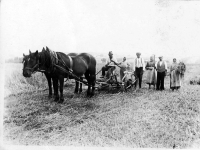 Na pluhu sedí František Kubný / otec Josefa Kubného / třetí zleva Josef Kubný / děda Josefa Kubného