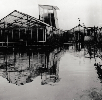 Floods in the Horticultural Plants of Pilsen. Doubrava, February 25, 1985