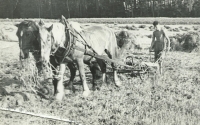 Martin Lis on his uncle's farm in Louka in Písek before 1957