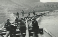 Wedding trip from Zvíkov to the Orlice dam, 1960