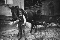 Karel Vlček with a local grocer's horse, Kutná Hora, 1943