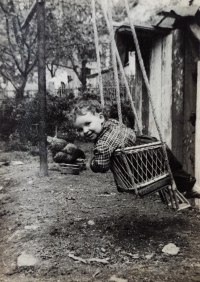 Dcera Irena v houpačce, která u domu ve Frýdlantu zůstala po vysídlené německé rodině, cca 1956