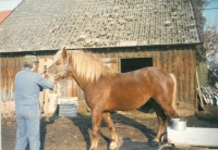 With horse Jurášek, Prosečné, about 1999